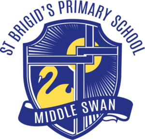 St Brigids Primary School