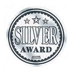 Sticker Silver Award (Box of 80)