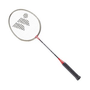 Badminton Racquet Wish Alumtec 316