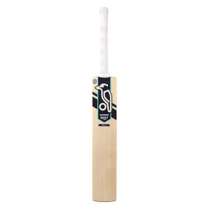 Odyssey Pro 1.0