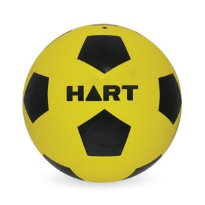 Colour Soccer Ball