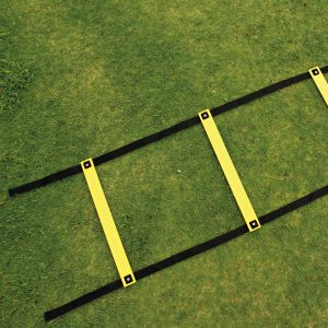 Agility Ladder Flat 8m