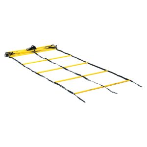 Double Agility Ladder