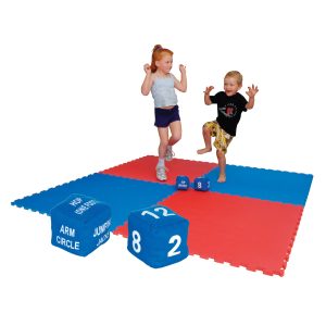 Fitness Dice Set of 2