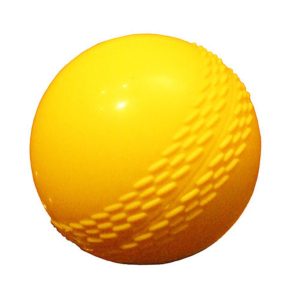 Kanga Cricket Ball Jnr