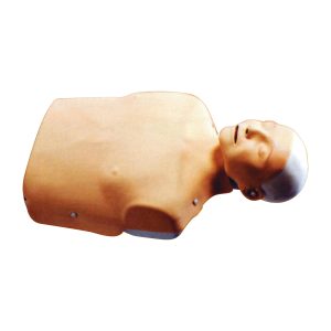 Little Anne Manikin