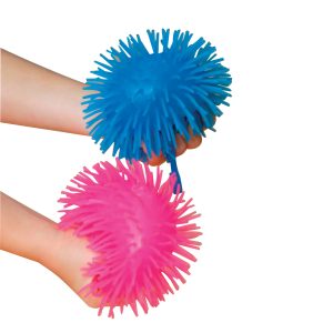 Sea Anemone
