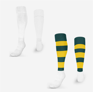 Albany SHS Socks