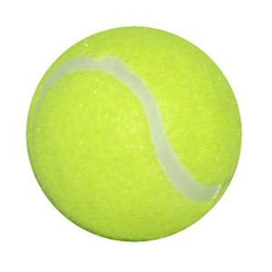 Tennis Balls Coaching Dozen