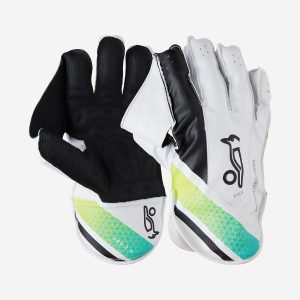 Basic Wicket Keeping Gloves (School Type)