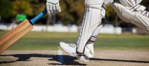 Cricket