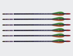 Archery Arrows Fibreglass Set of 12