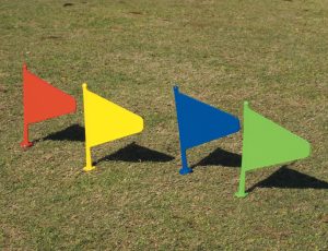 Plastic Marker Flags