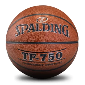 Spalding TF-750 Basketball Old Style