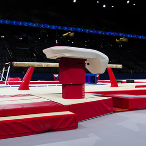 Gymnastics Apparatus