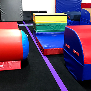 Gymnastic Coach Aids