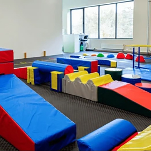 Kinder Gym