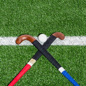 Hockey Balls & Sticks