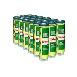 Wilson Hot Shots Green Dot Tennis Ball Carton