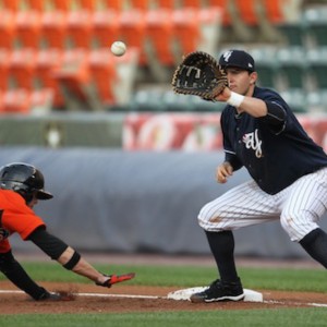 Catchers & Fielders Gloves