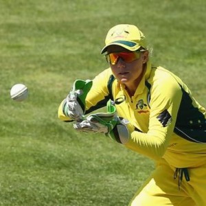 Cricket Gloves & Pads
