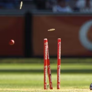Cricket Stumps