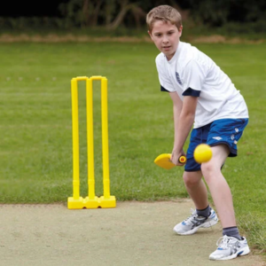 Modified Cricket