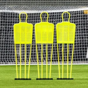 Soccer Training