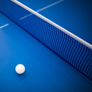 Table Tennis Nets